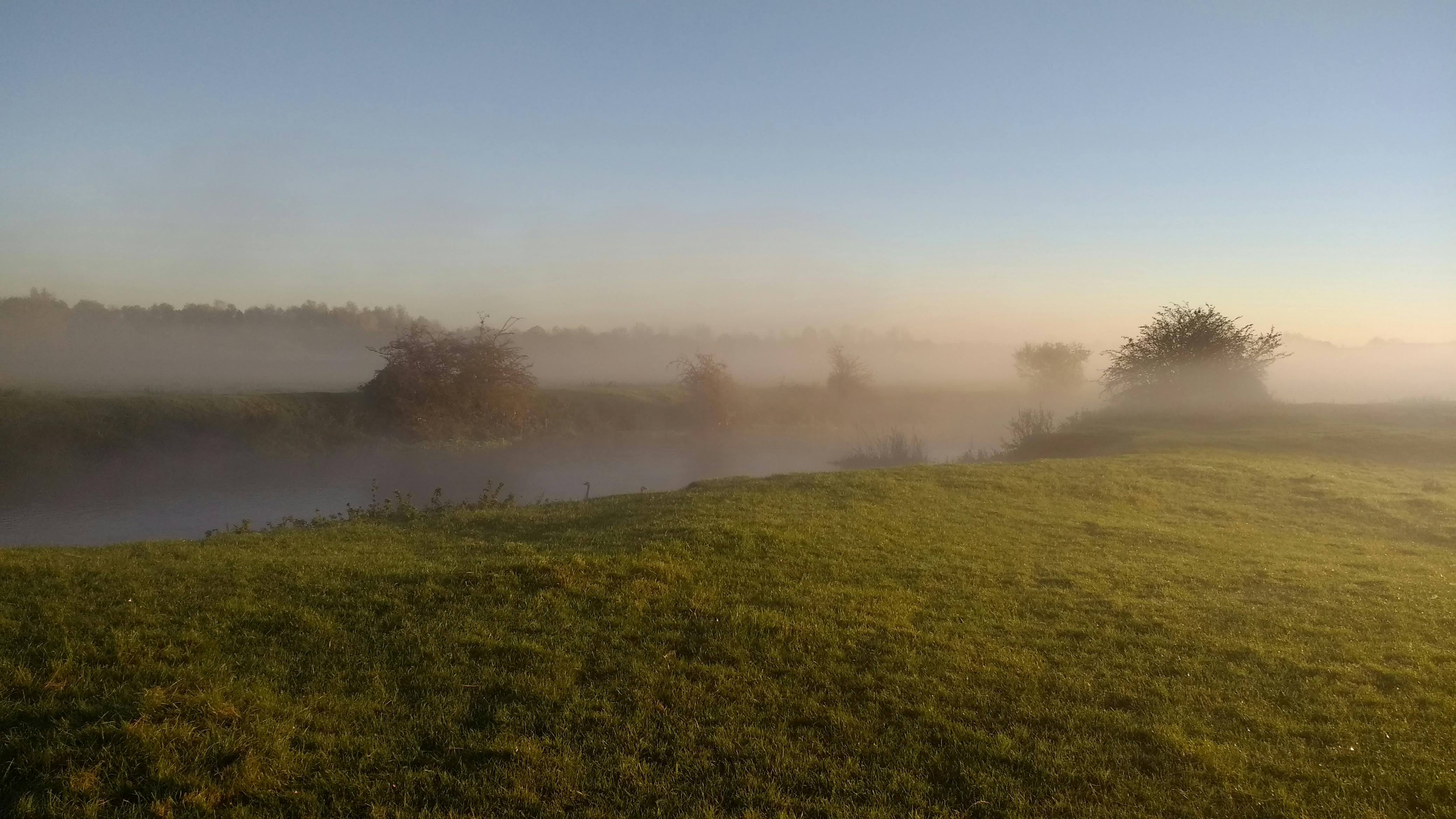 On a misty moisty morning