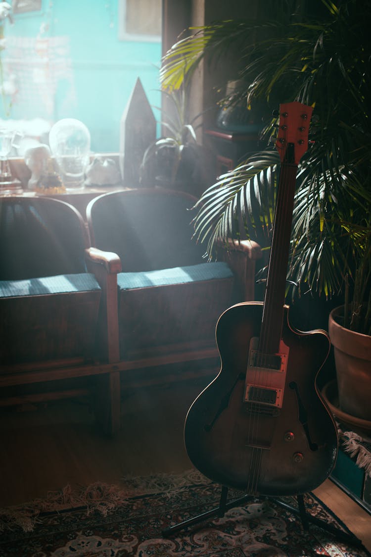 Guitar On A Stand Near Potted Plant