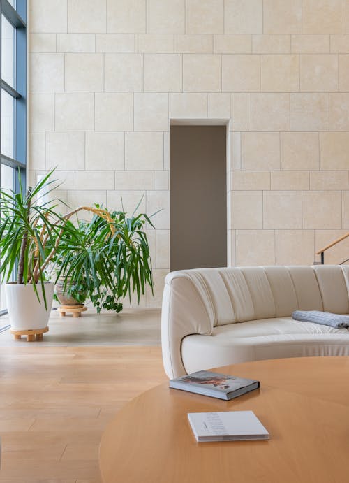 Contemporary interior of living room with soft sofa and timber round shaped table near verdant plants