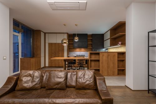 Free Comfortable leather sofa with pillows in contemporary apartment with modern interior and shelves Stock Photo