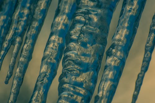 Darmowe zdjęcie z galerii z lód, lśniący, mrożony