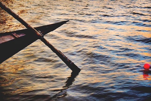茶色のボートパドルのハイアングル写真