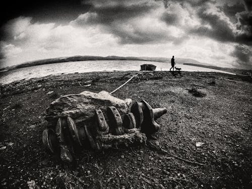 Gray Scale Photo of Seashore