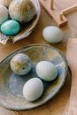White Egg on Blue and Brown Ceramic Plate