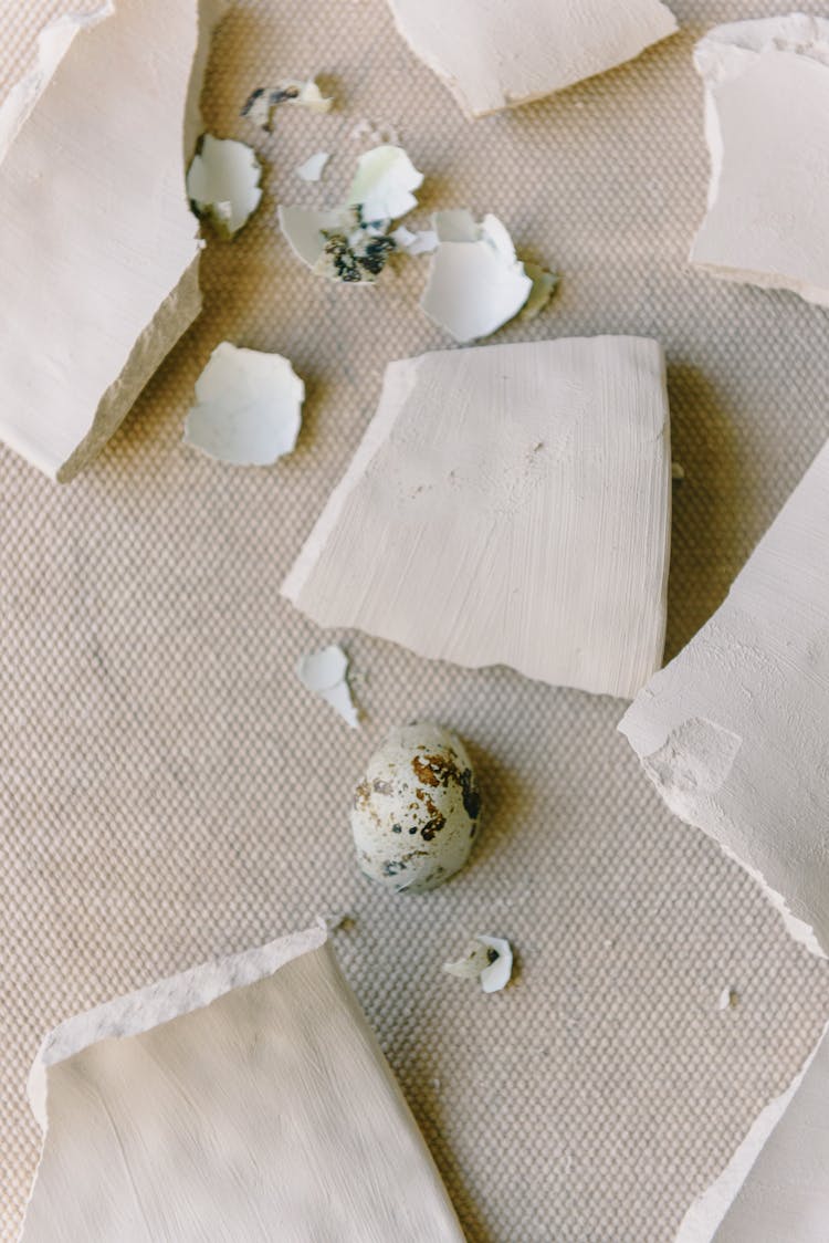 A Close-Up Shot Of Ceramic Shards And Cracked Egg Shells