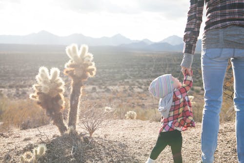 Free Person Holding Toddler Hand Stock Photo