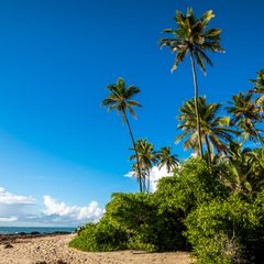 Toronto → Recife, Brazil - $570 khứ hồi (đã gồm thuế)