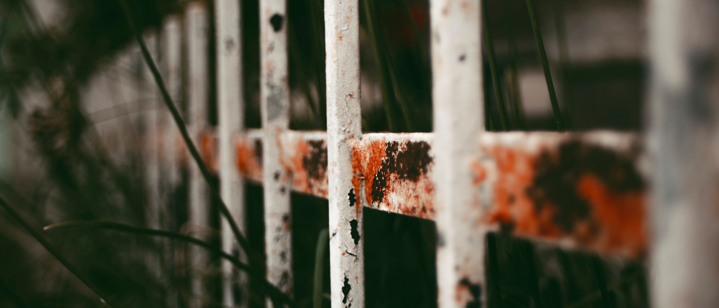 Fence and Decking Painting in White City — woodwork brushed to a crisp, smooth line