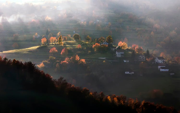 House On Green Hills With Trees Painting