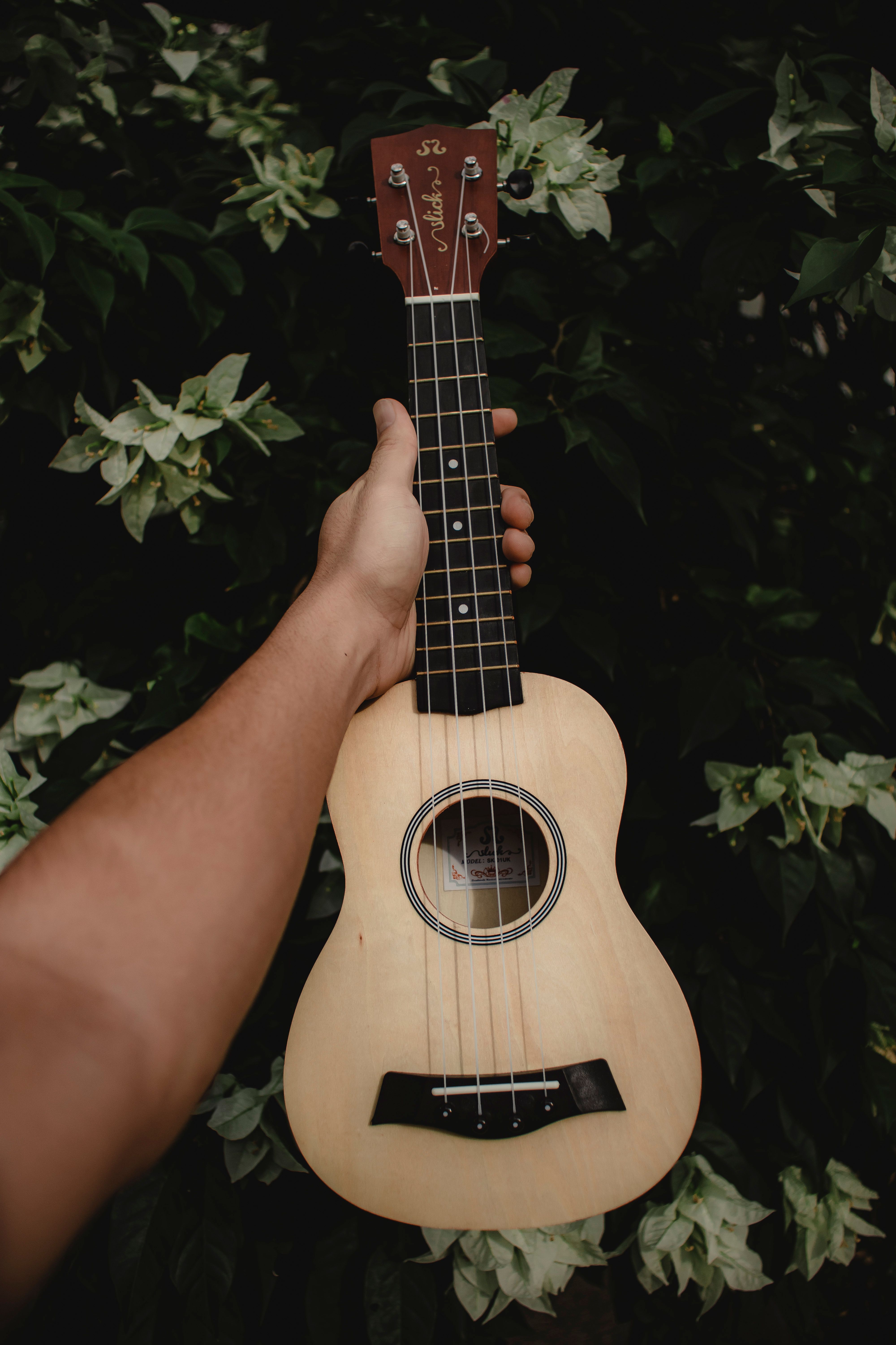A person holds a ukulele in front of lush green leaves, highlighting the musical instrument amidst nature.