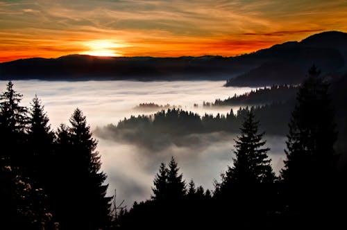 Silhouette Fotografie Von Bäumen Und Berg
