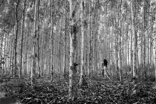 Grayscale Photo of Person Walking in the Forest