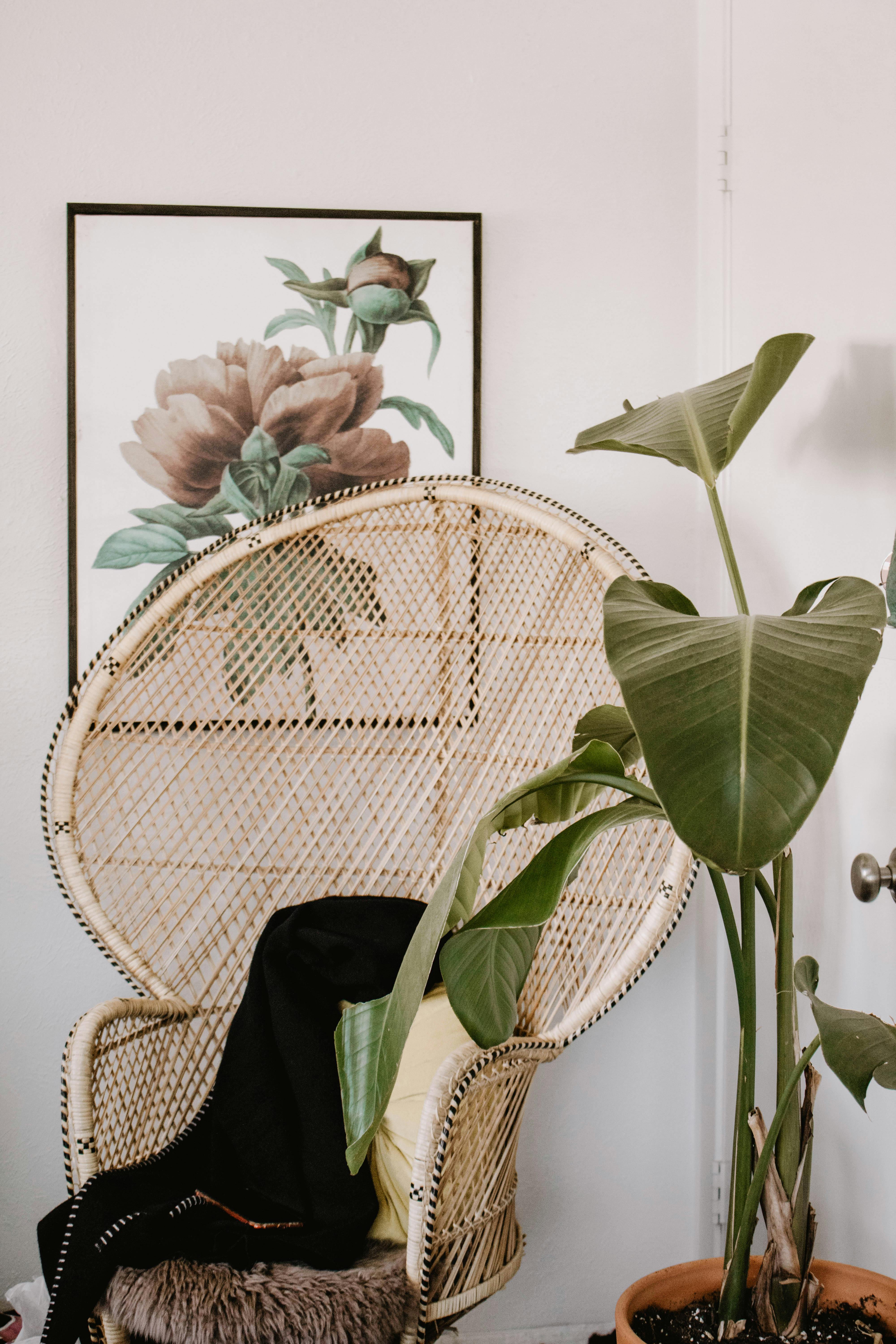 Free Stylish indoor setting featuring a woven chair, floral art, and lush plant decor. Stock Photo