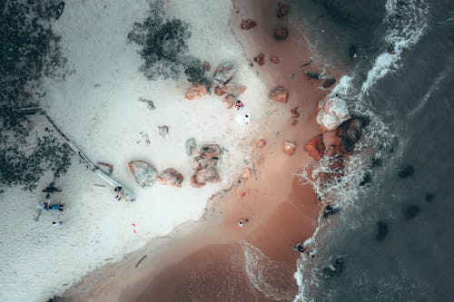 Drone view of people spending time on sandy seashore during holidays