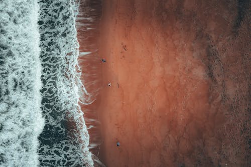 Free Foamy waves of stormy sea splashing on sandy beach near anonymous tourists Stock Photo