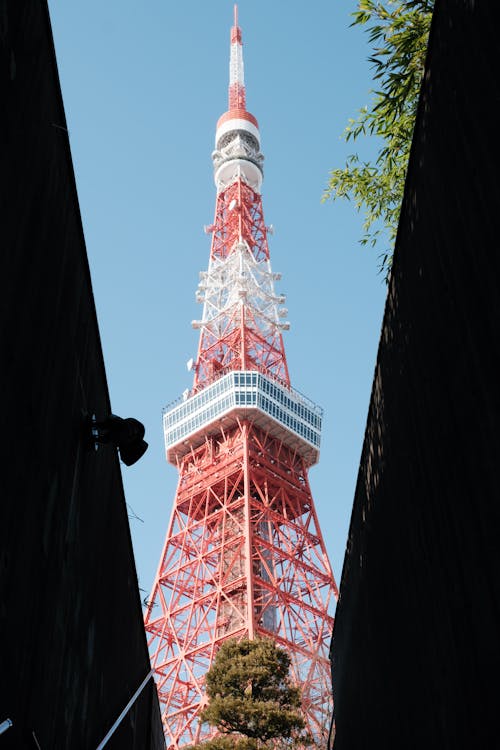 Low angle of red and white metal communication tower located in Shiba koen district of Tokyo against cloudless blue sky