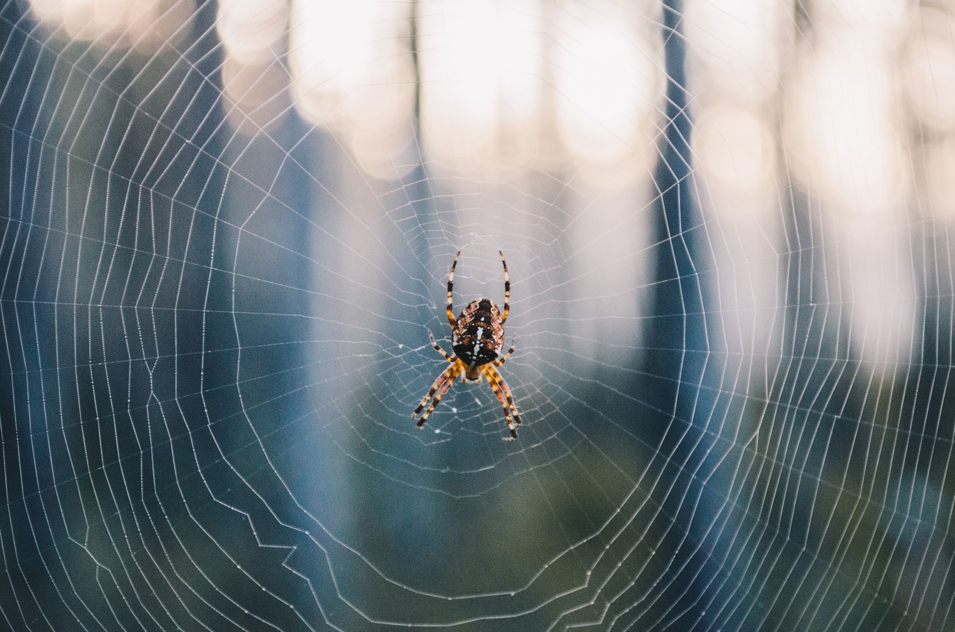 best web scraping api