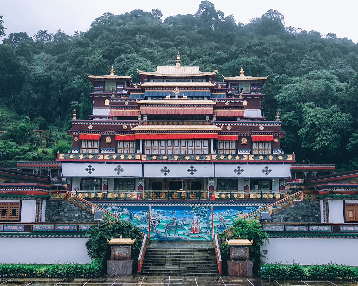 Person cooking stew in a pot on a stovetop with wooden spoon