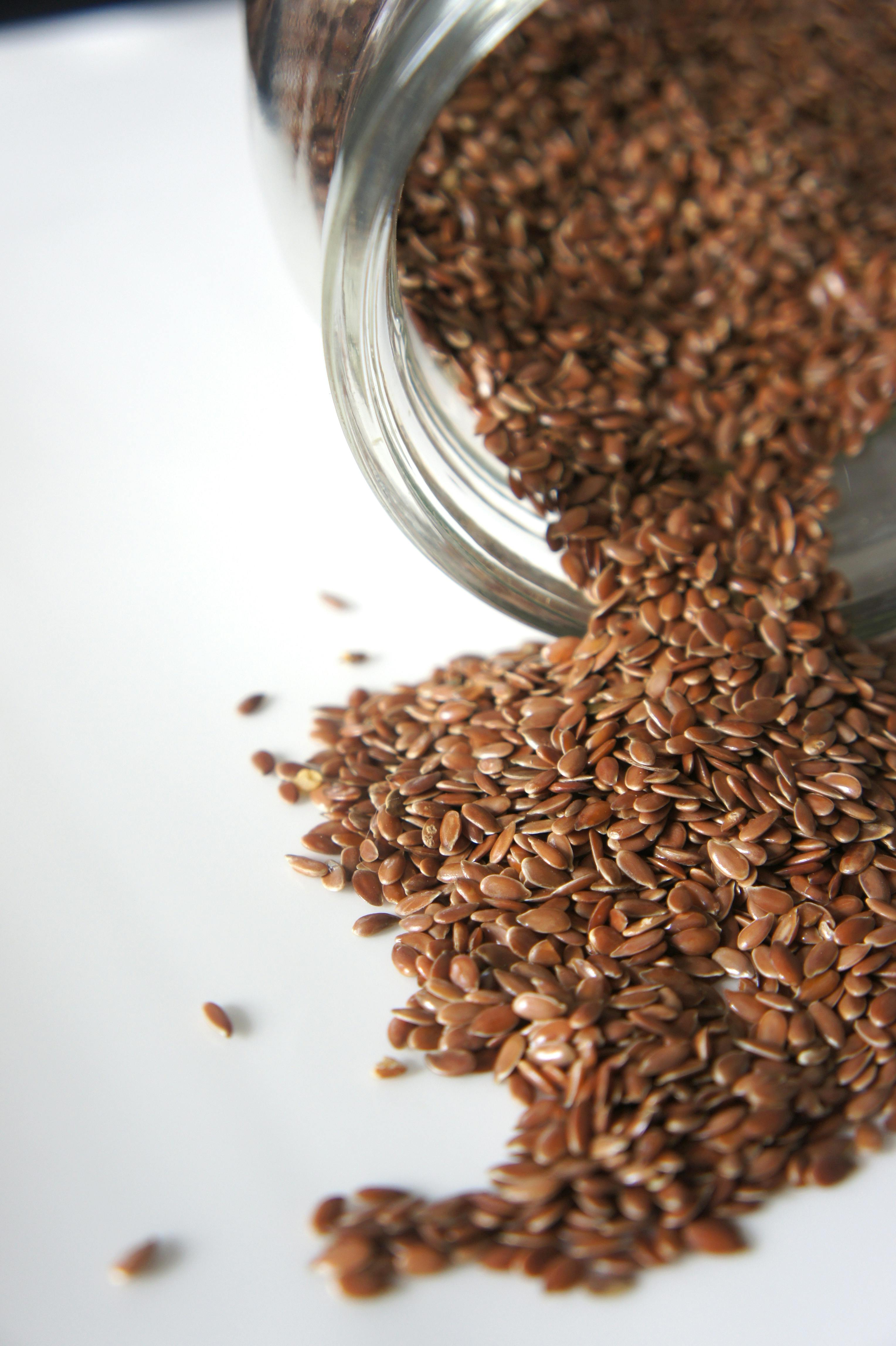 Brown Seeds in a Bottle · Free Stock Photo