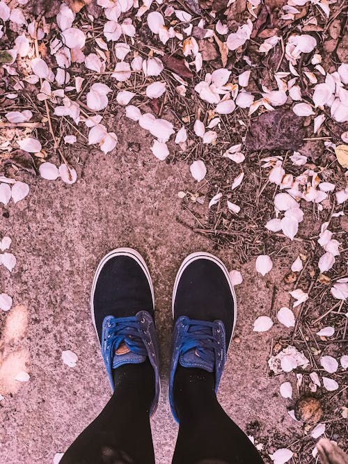 Overhead view of crop unrecognizable person in gumshoes standing on rough land with flower petals and faded foliage in fall