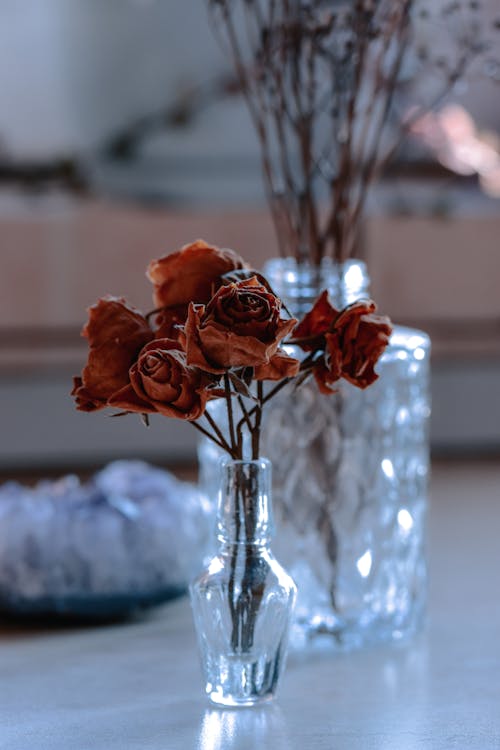 Free Dried flower bouquet with fragile petals and thin stems in glass vase with shiny surface in house Stock Photo