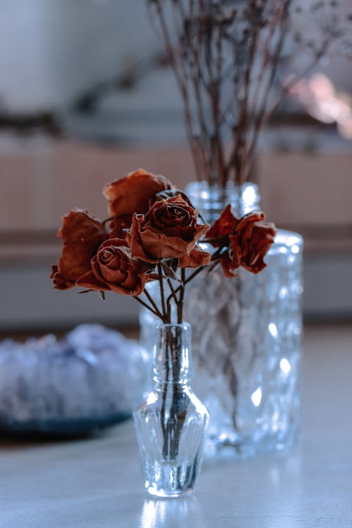 Dried flower bouquet with fragile petals and thin stems in glass vase with shiny surface in house