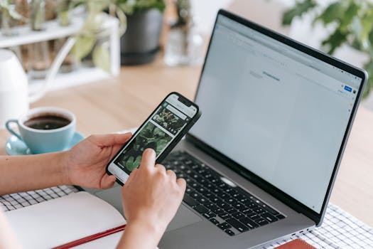 Image by Teona Swift