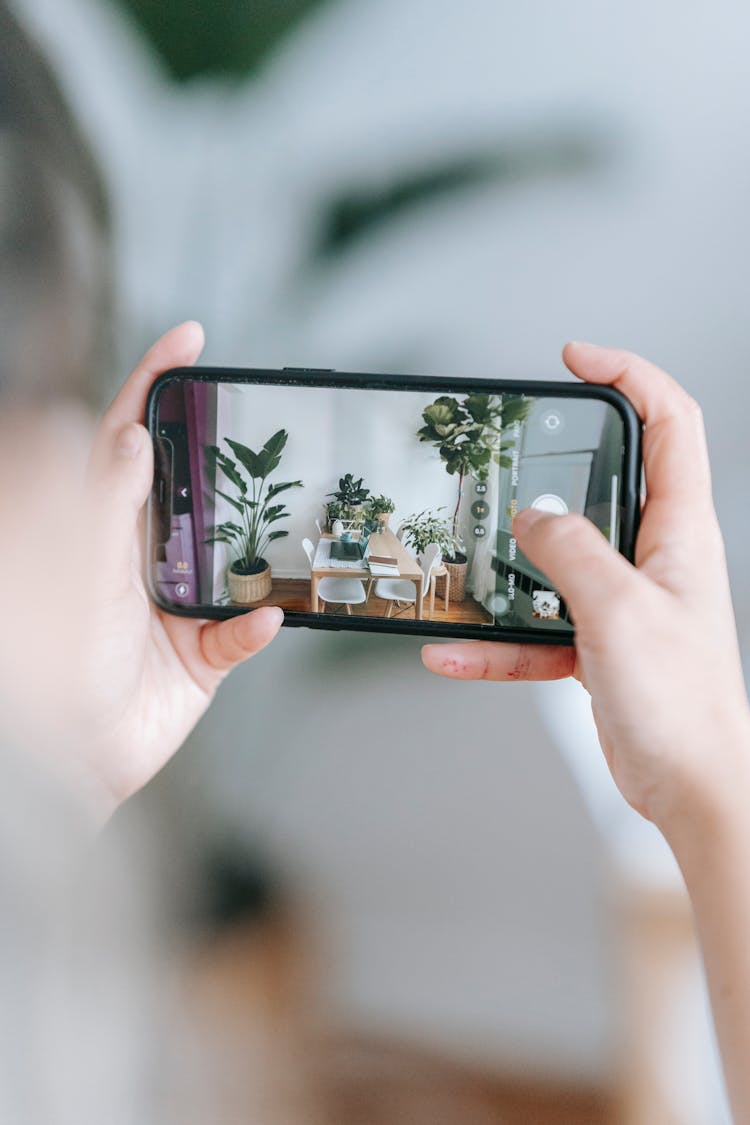 Woman Taking Photo Of Potted Plants On Smartphone