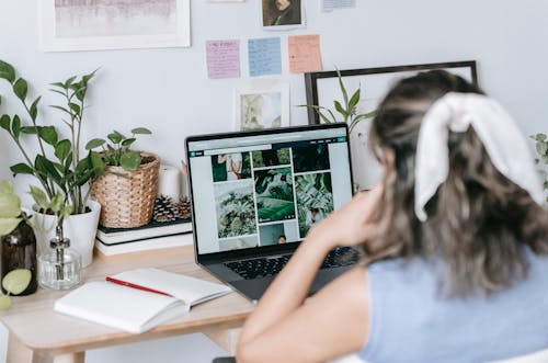 Free Woman sitting at table and searching images on laptop Stock Photo