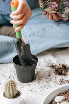 Close-up of a person planting a cactus in a pot, showcasing gardening tools and soil.