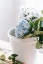From above of fragrant hydrangeas and chrysanthemums with green leaves in bucket on table in floral store