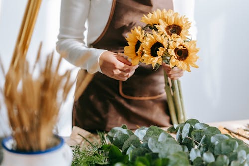 Crop anonymous female seller in floral shop with bunch of blooming sunflowers standing near table with green plants