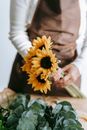 Crop anonymous female florist in apron standing at table with blooming sunflowers in floral store