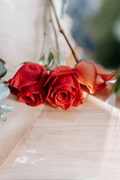 Free Red roses placed on glass table in floral store Stock Photo