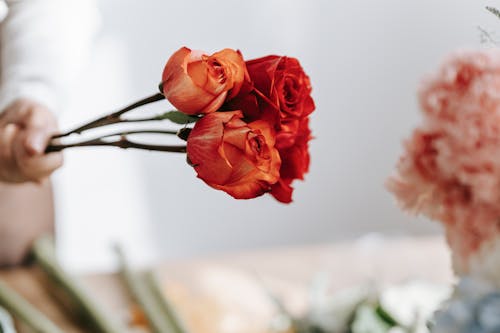 Crop unrecognizable person showing blooming orange flowers with gentle buds and pleasant aroma in shop