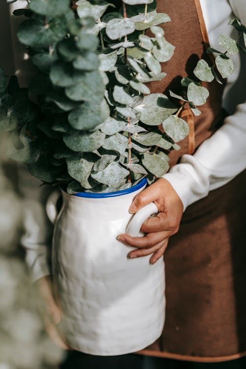 Crop unrecognizable female in apron holding ceramic vase with evergreen plant at work in sunshine