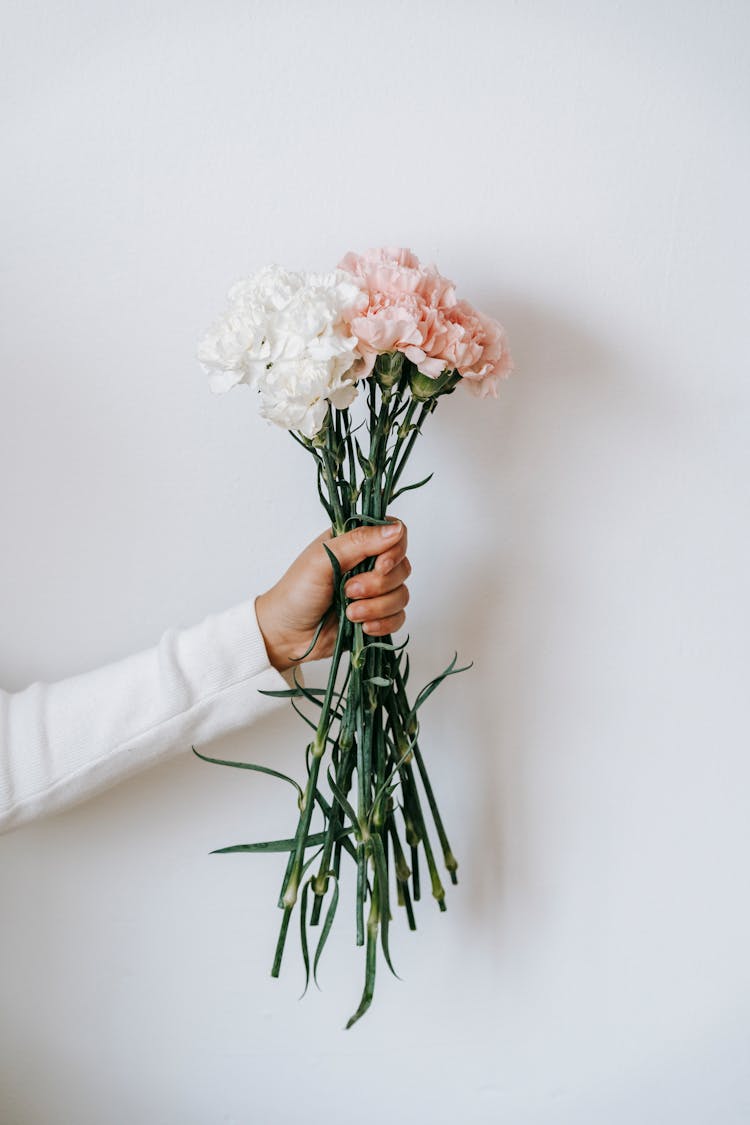 Faceless Woman With Blooming Carnation Bouquet On White Background