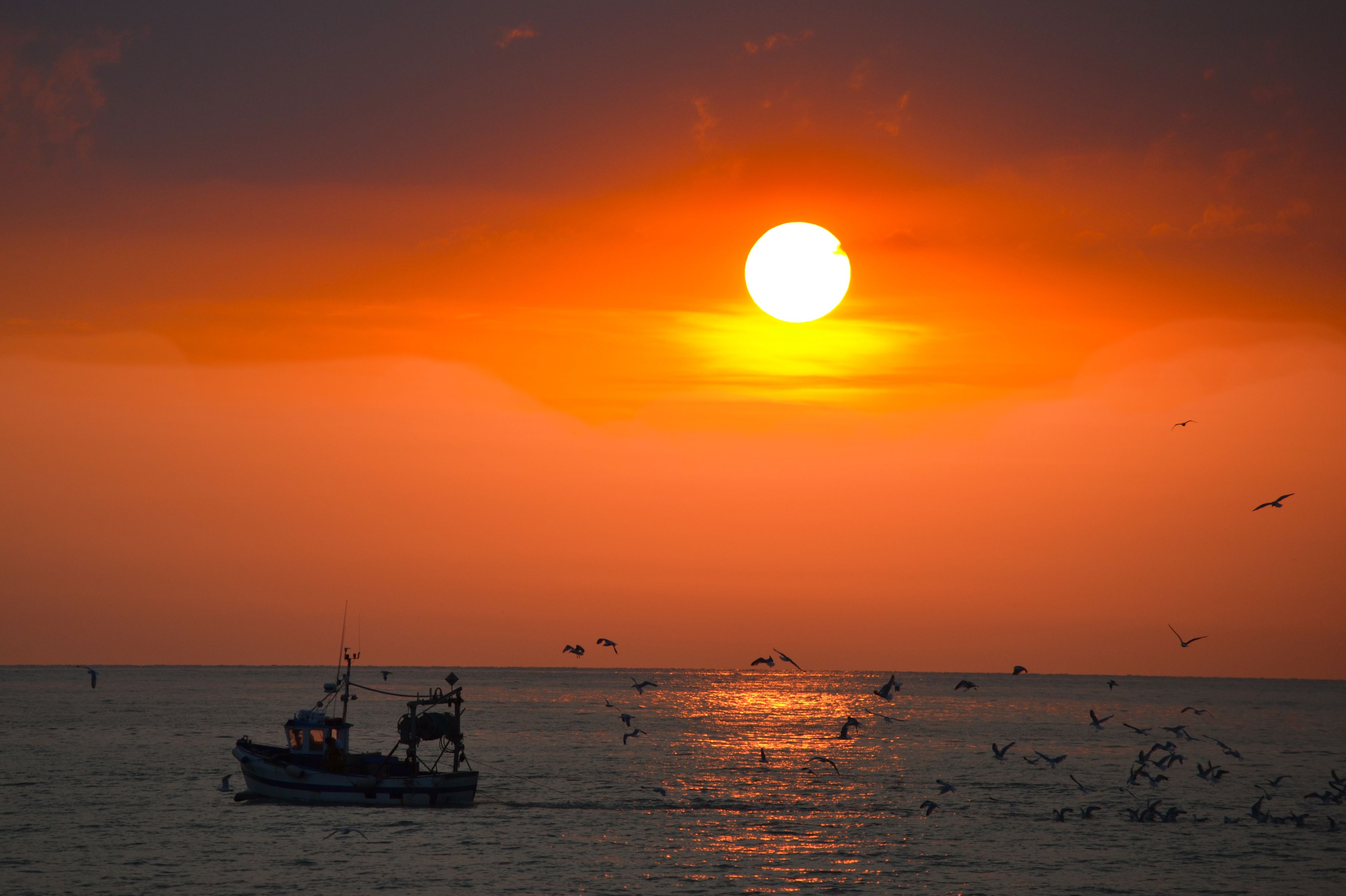 Scenic View of a Boat on the Ocean during Sunset · Free Stock Photo