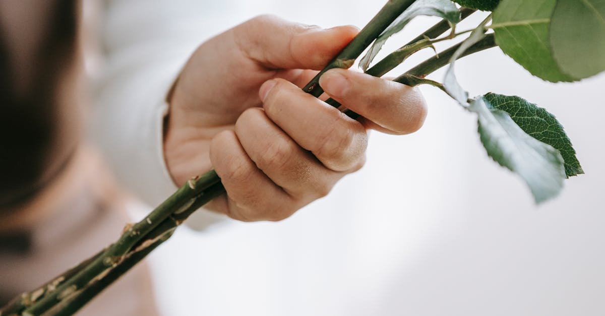 How to make flower for prom