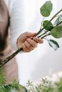 Crop anonymous woman holding green plant stems with foliage while composing bouquet against Asparagus plant sprigs at work