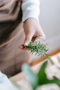 From above of crop anonymous female with fresh verdant rosemary in hand on blurred background