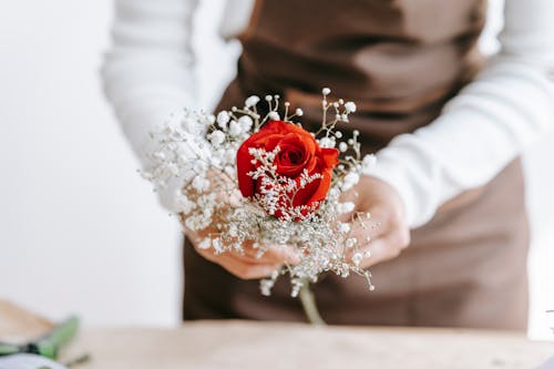 Female florist making bouquet in light room