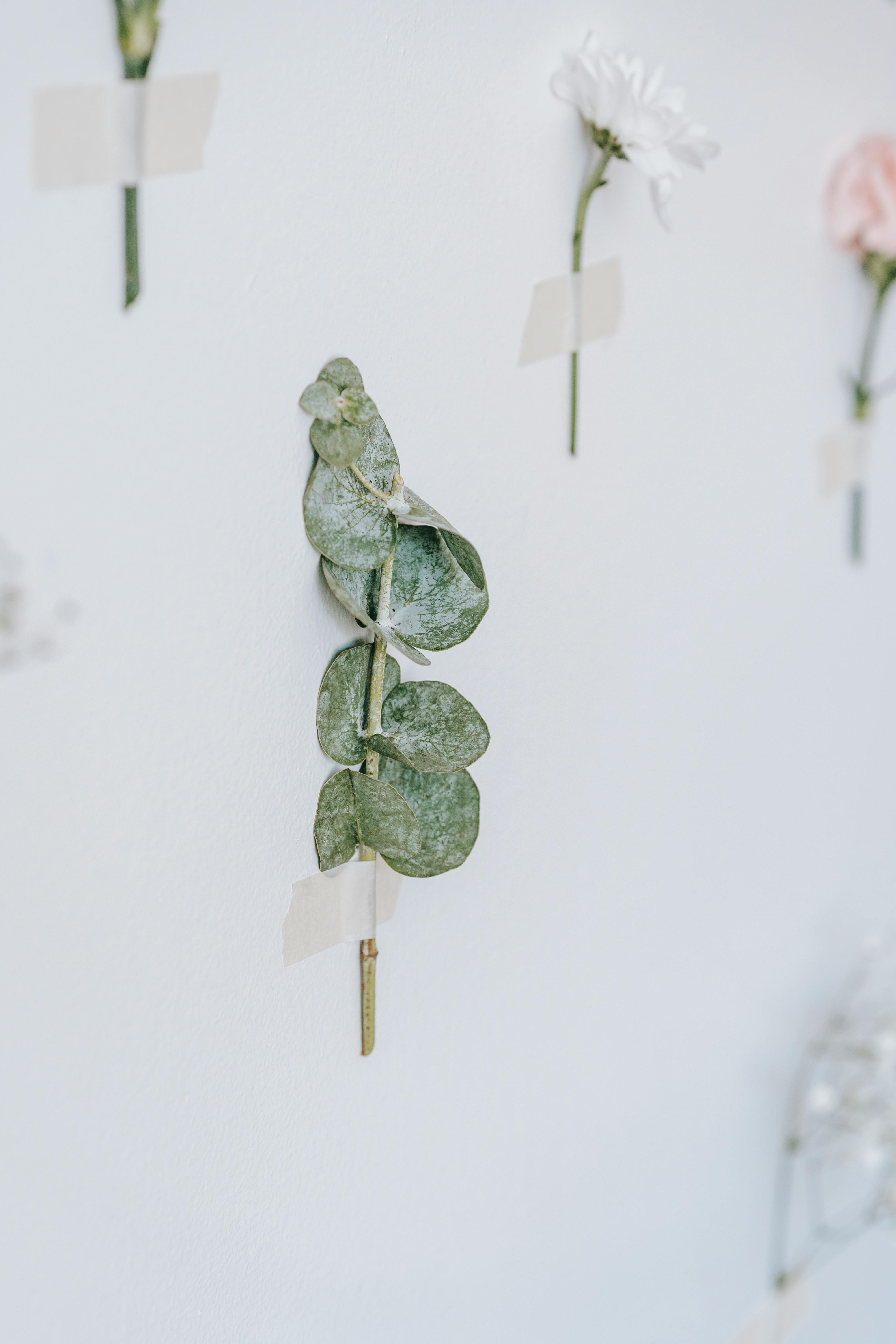 green twig glued to wall near flowers