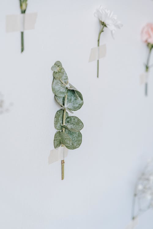 Green twig glued to wall near flowers