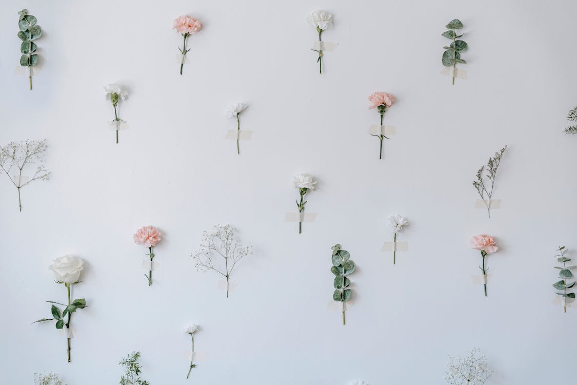 Orderly composed plants and gentle flowers with green leaves and stems on white background