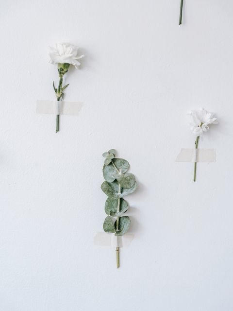 Civil Ceremony invitation pressed-botanicals