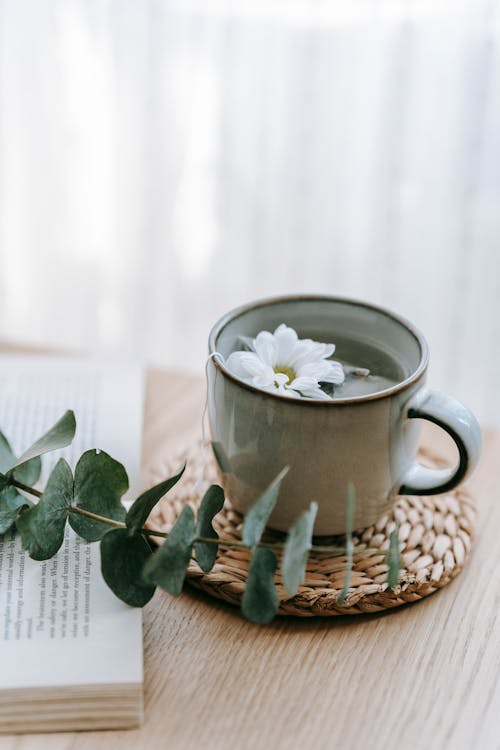 Cup of green hot beverage with blossoming Chrysanthemum on straw mat against plant sprig on textbook in house