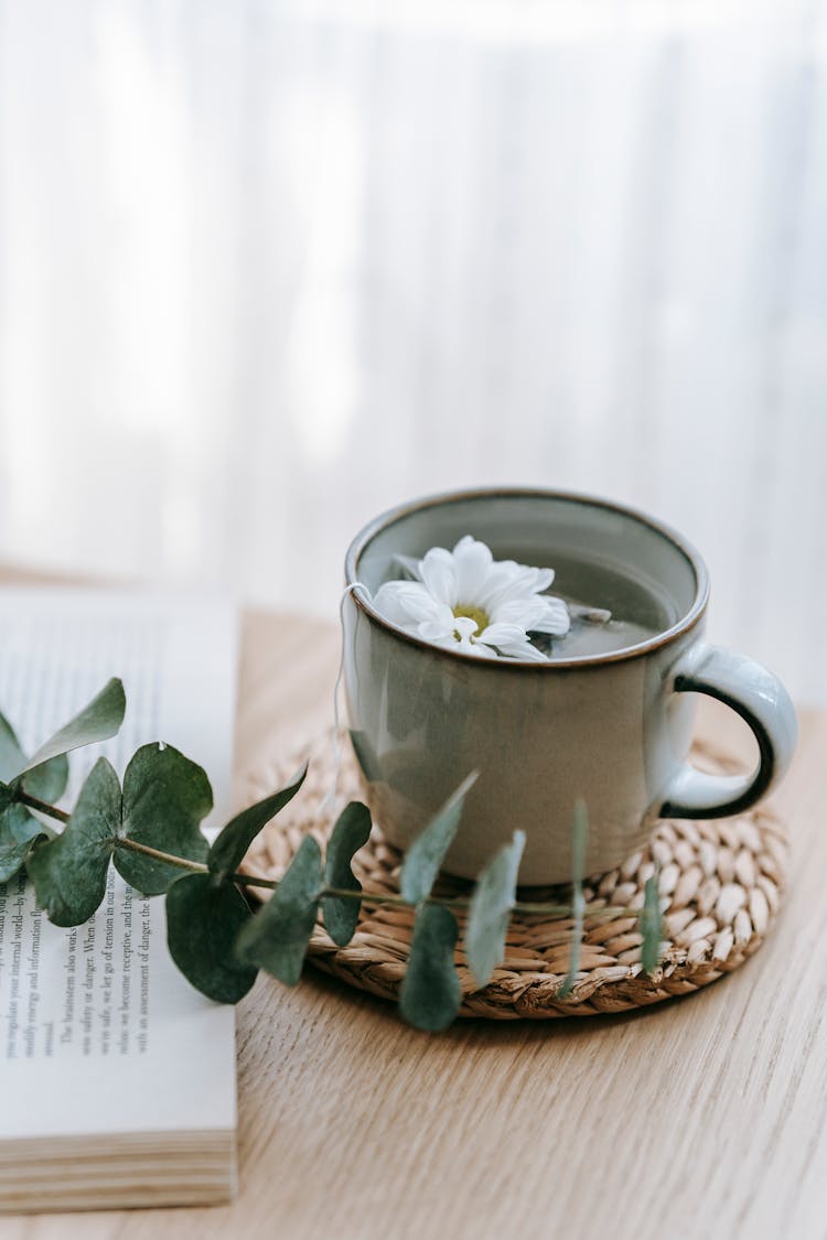 Cup Of Green Tea With Chrysanth Near Eucalyptus On Book