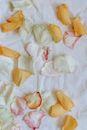 Assorted rose petals with pleasant aroma on fabric