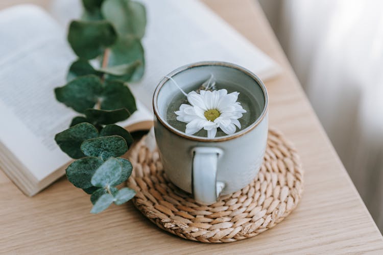 Green Tea With Blooming Chrysanthemum Near Eucalyptus On Table